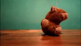 Harvey the Hamster - Green screen 4 thumbnail