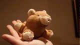 Harvey again! thumbnail
